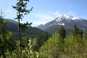 Scenery soon after leaving Whistler