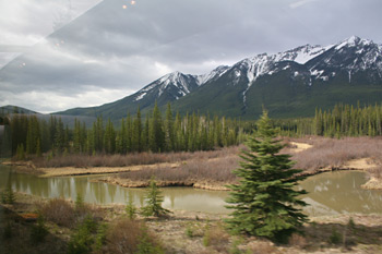 Scenery soon after leaving Banff, along the Bow River