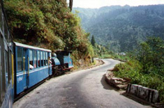 Darjeeling 'toy train' descending to NJP to meet the 'Darjeeling Mail' for Calcutta.