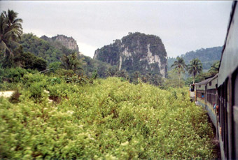 Scenery from train 92, the Jungle Line