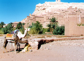 The historic town of Ait ben Haddou in Morocco...