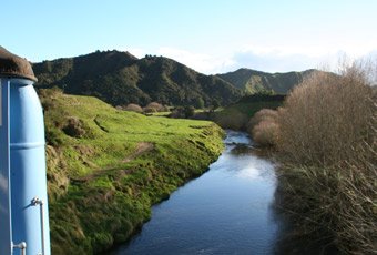 The Auckland to Wellington train passing typical New Zealand 'Lord of the Rings' scenery