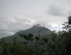 More scenery from a Colombo-Kandy train