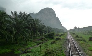 train bangkok thani thailand scenery surat travel rail take phuket