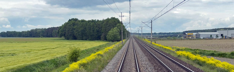 Looking back along the track