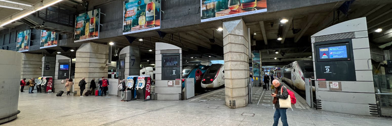 Paris Gare Montparnasses - a brief station guide