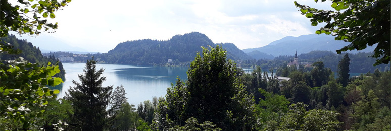 View over Lake Bled