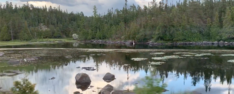 Scenery from the train in the Shield