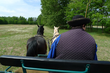 Horse-drawn transport from train to horsemanship show