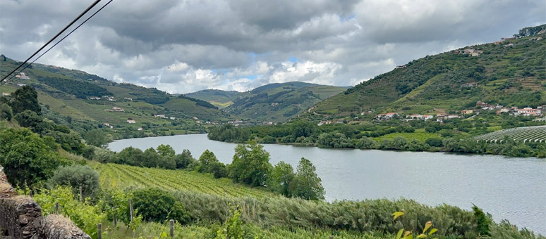 Douro Valley vineyards