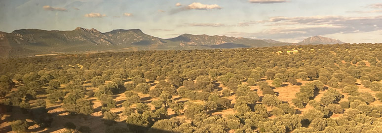 Scenery between Madrid & Seville