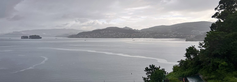 Coastal views from the train along the Ria de Vigo